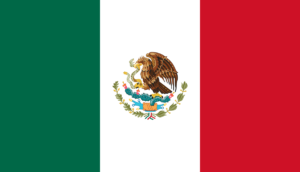 Debt collection in Mexico