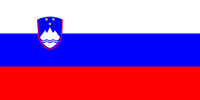 Debt collection in Slovenia 